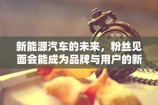 新能源汽车的未来，粉丝见面会能成为品牌与用户的新桥梁吗？