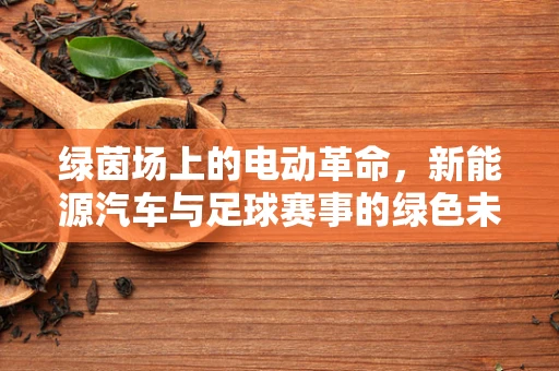 绿茵场上的电动革命，新能源汽车与足球赛事的绿色未来