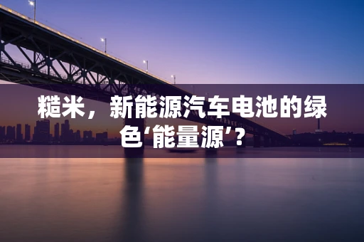 糙米，新能源汽车电池的绿色‘能量源’？