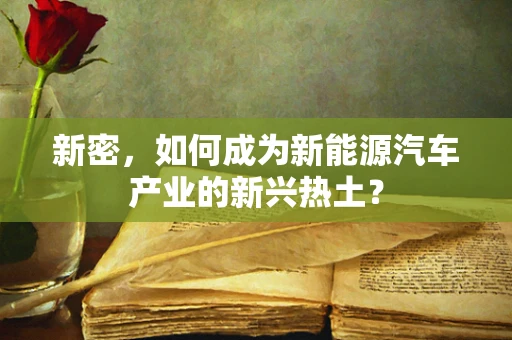 新密，如何成为新能源汽车产业的新兴热土？