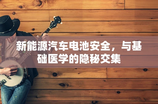 新能源汽车电池安全，与基础医学的隐秘交集