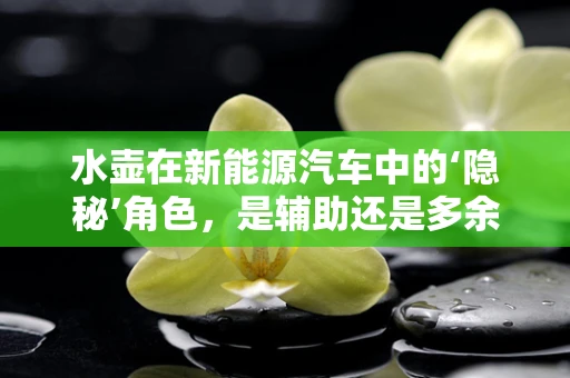 水壶在新能源汽车中的‘隐秘’角色，是辅助还是多余？