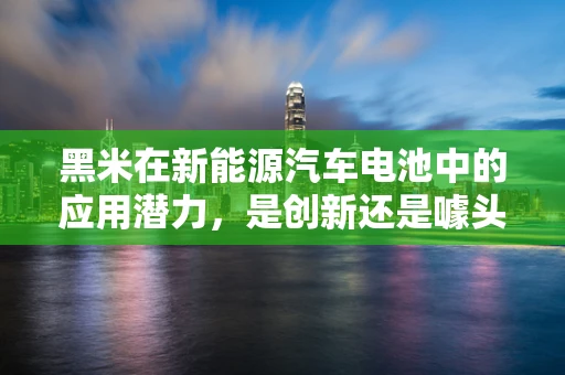 黑米在新能源汽车电池中的应用潜力，是创新还是噱头？