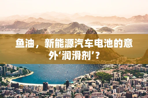 鱼油，新能源汽车电池的意外‘润滑剂’？