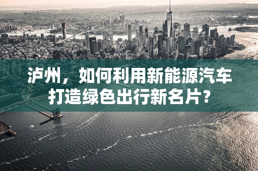 泸州，如何利用新能源汽车打造绿色出行新名片？