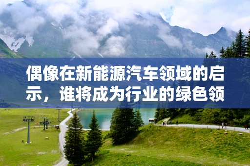 偶像在新能源汽车领域的启示，谁将成为行业的绿色领航员？