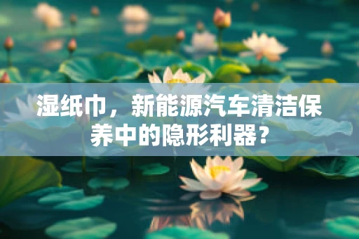 湿纸巾，新能源汽车清洁保养中的隐形利器？