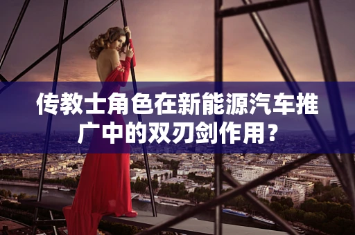 传教士角色在新能源汽车推广中的双刃剑作用？