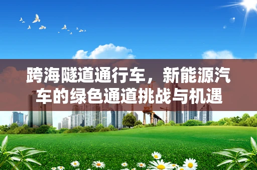 跨海隧道通行车，新能源汽车的绿色通道挑战与机遇