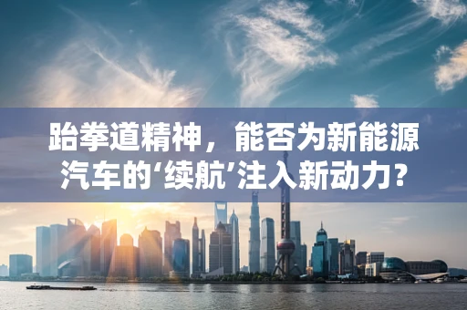 跆拳道精神，能否为新能源汽车的‘续航’注入新动力？