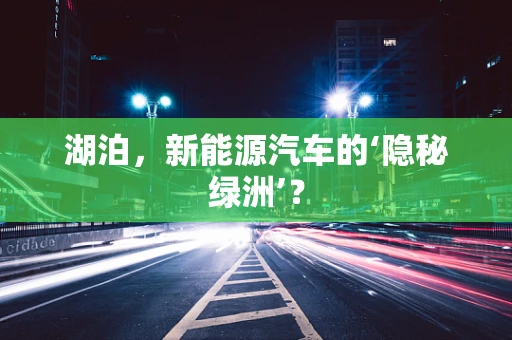 湖泊，新能源汽车的‘隐秘绿洲’？