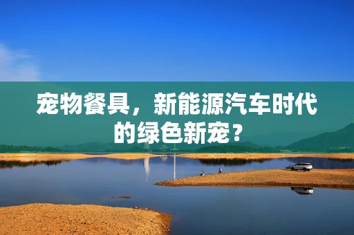 宠物餐具，新能源汽车时代的绿色新宠？