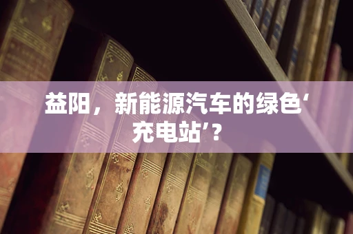 益阳，新能源汽车的绿色‘充电站’？