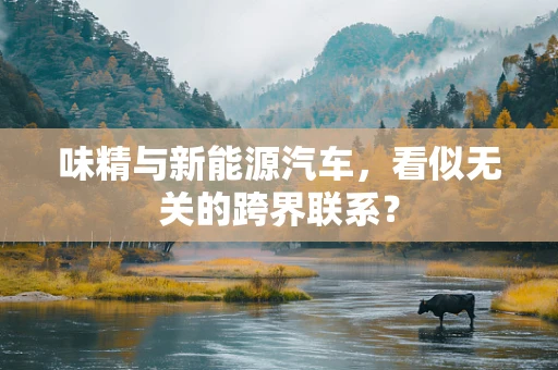 味精与新能源汽车，看似无关的跨界联系？