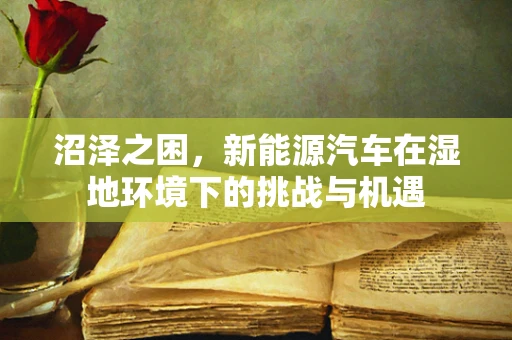沼泽之困，新能源汽车在湿地环境下的挑战与机遇