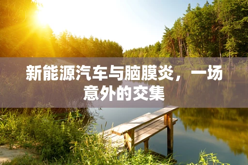 新能源汽车与脑膜炎，一场意外的交集