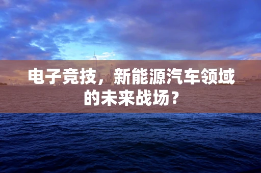 电子竞技，新能源汽车领域的未来战场？