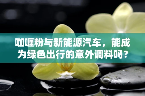 咖喱粉与新能源汽车，能成为绿色出行的意外调料吗？