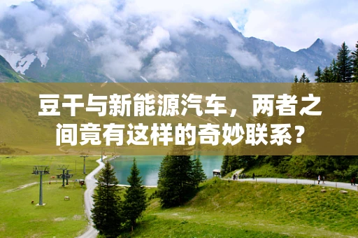 豆干与新能源汽车，两者之间竟有这样的奇妙联系？