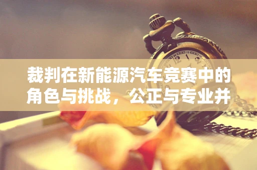 裁判在新能源汽车竞赛中的角色与挑战，公正与专业并重