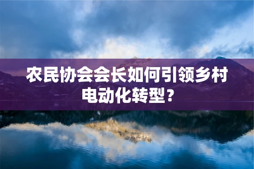 农民协会会长如何引领乡村电动化转型？