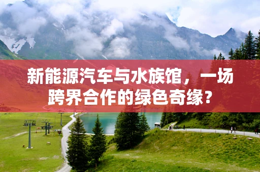 新能源汽车与水族馆，一场跨界合作的绿色奇缘？