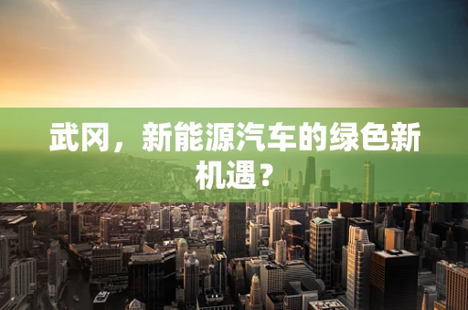 武冈，新能源汽车的绿色新机遇？
