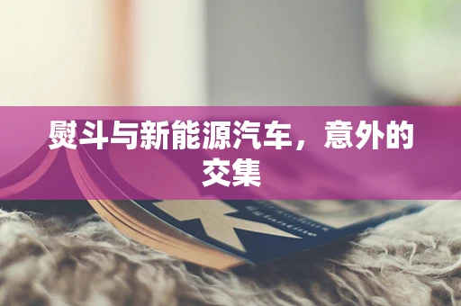 熨斗与新能源汽车，意外的交集