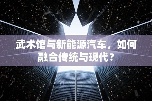 武术馆与新能源汽车，如何融合传统与现代？