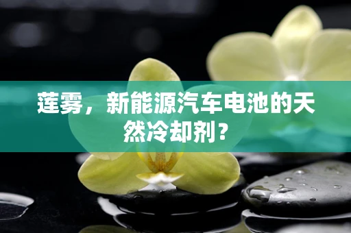 莲雾，新能源汽车电池的天然冷却剂？