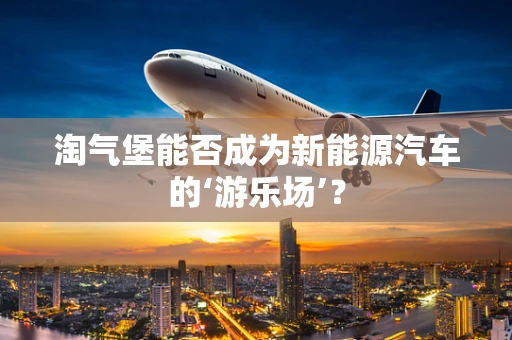 淘气堡能否成为新能源汽车的‘游乐场’？