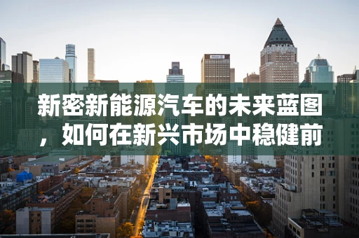 新密新能源汽车的未来蓝图，如何在新兴市场中稳健前行？