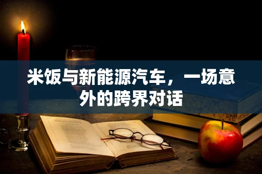 米饭与新能源汽车，一场意外的跨界对话