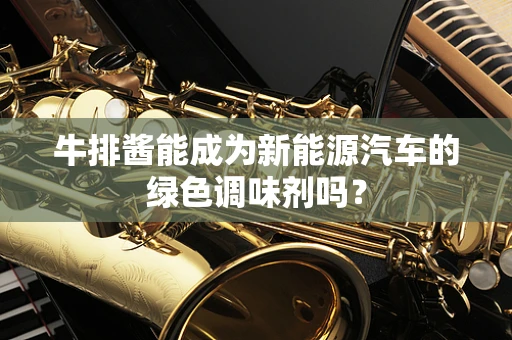 牛排酱能成为新能源汽车的绿色调味剂吗？