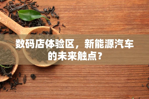 数码店体验区，新能源汽车的未来触点？
