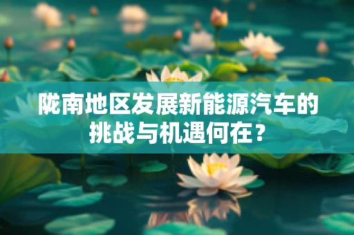 陇南地区发展新能源汽车的挑战与机遇何在？