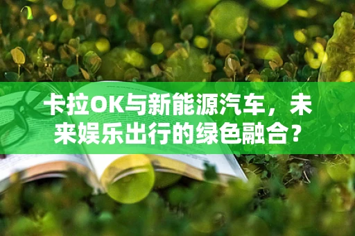 卡拉OK与新能源汽车，未来娱乐出行的绿色融合？