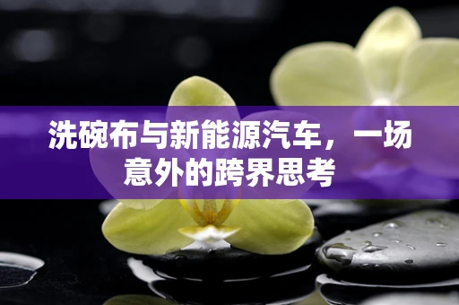 洗碗布与新能源汽车，一场意外的跨界思考