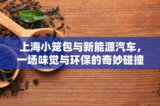 上海小笼包与新能源汽车，一场味觉与环保的奇妙碰撞？