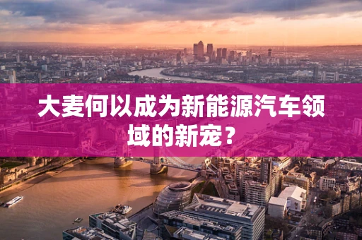 大麦何以成为新能源汽车领域的新宠？