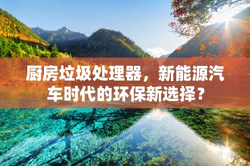 厨房垃圾处理器，新能源汽车时代的环保新选择？