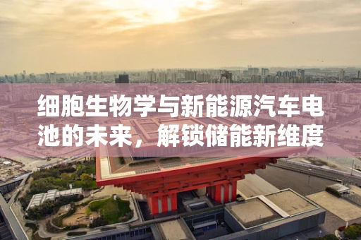 细胞生物学与新能源汽车电池的未来，解锁储能新维度？