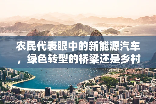 农民代表眼中的新能源汽车，绿色转型的桥梁还是乡村发展的新挑战？