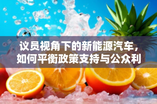 议员视角下的新能源汽车，如何平衡政策支持与公众利益？