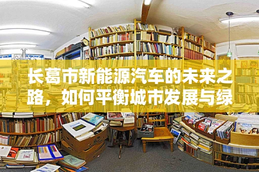 长葛市新能源汽车的未来之路，如何平衡城市发展与绿色出行？