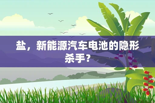 盐，新能源汽车电池的隐形杀手？