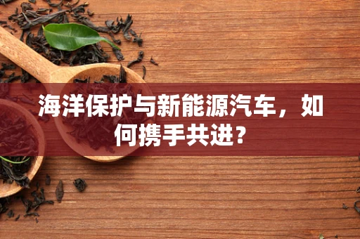 海洋保护与新能源汽车，如何携手共进？