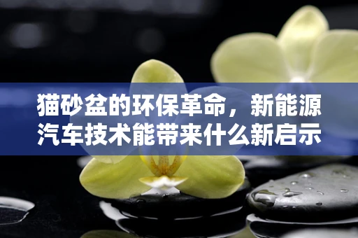 猫砂盆的环保革命，新能源汽车技术能带来什么新启示？