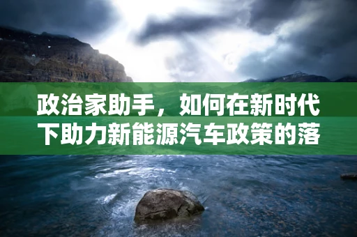 政治家助手，如何在新时代下助力新能源汽车政策的落地与实施？