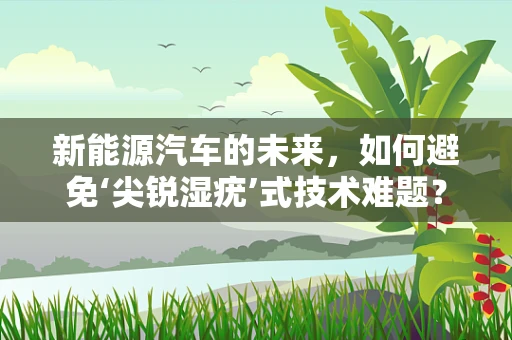 新能源汽车的未来，如何避免‘尖锐湿疣’式技术难题？